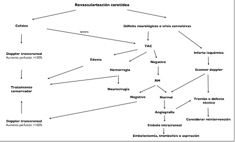 Revascularización carotidea
