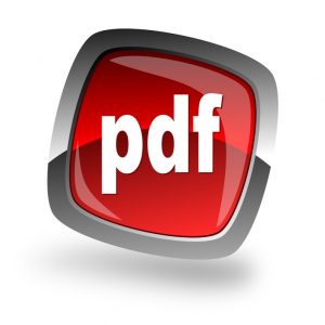 Pdf file internet icon