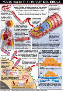 INFO_ebola_GN