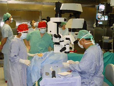 Silla Sanitaria Con Orinal De Acero - American Surgery S.A.