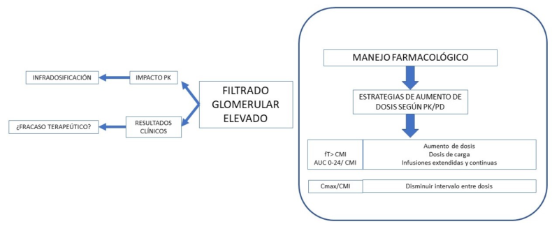 ola lema Actual Optimización de la dosificación de fármacos en el paciente crítico con  hiperfiltración glomerular - AnestesiaR