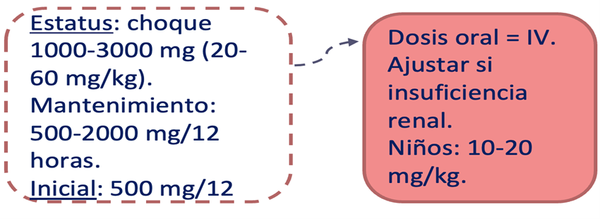 Figura 1. Resumen dosificación Levetiracetam
